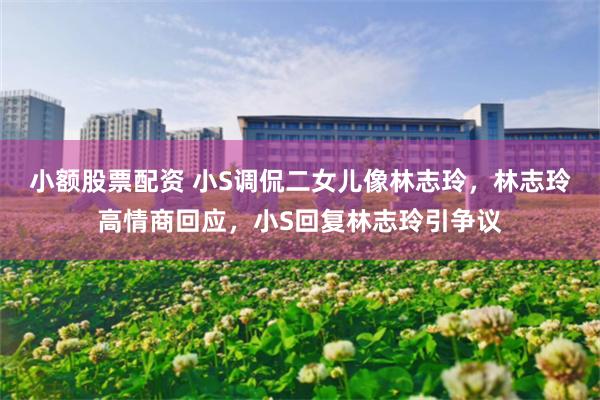 小额股票配资 小S调侃二女儿像林志玲,林志玲高情商回应,小S回复林志玲引争议