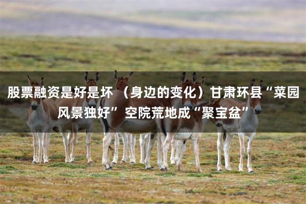 股票融资是好是坏 (身边的变化)甘肃环县“菜园风景独好” 空院荒地成“聚宝盆”