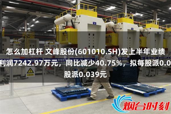 怎么加杠杆 文峰股份(601010.SH)发上半年业绩,净利润7242.97万元,同比减少40.75%,拟每股派0.039元