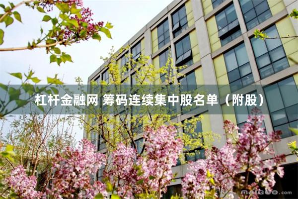 杠杆金融网 筹码连续集中股名单(附股)