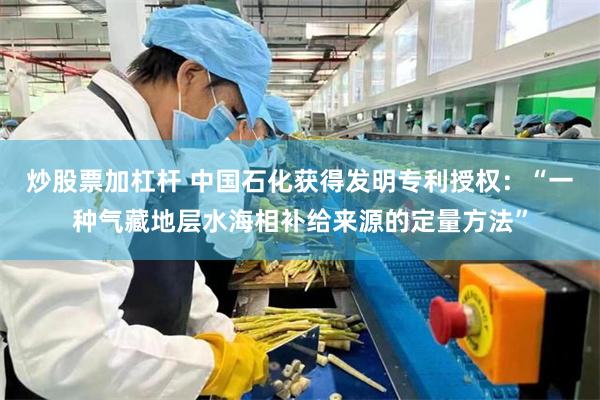 炒股票加杠杆 中国石化获得发明专利授权:“一种气藏地层水海相补给来源的定量方法”