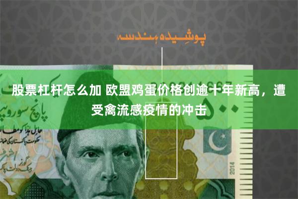 股票杠杆怎么加 欧盟鸡蛋价格创逾十年新高，遭受禽流感疫情的冲击