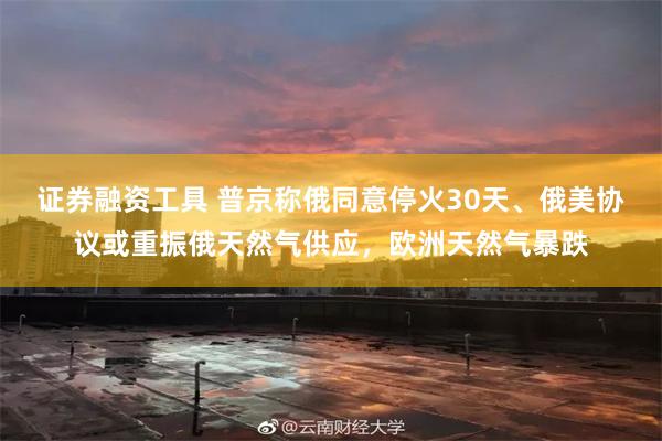 证券融资工具 普京称俄同意停火30天、俄美协议或重振俄天然气供应,欧洲天然气暴跌