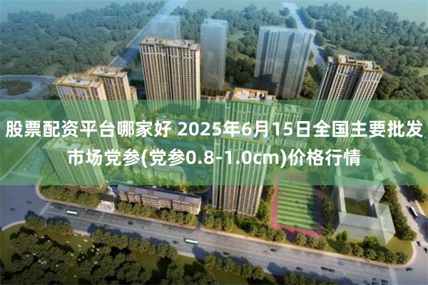 股票配资平台哪家好 2025年6月15日全国主要批发市场党参(党参0.8-1.0cm)价格行情