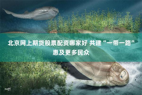 北京网上期货股票配资哪家好 共建“一带一路”惠及更多民众