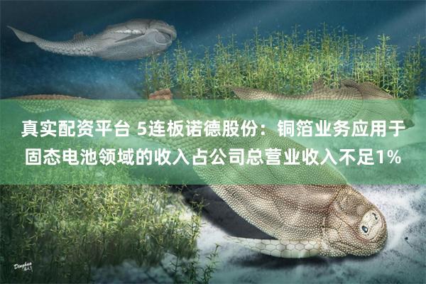 真实配资平台 5连板诺德股份:铜箔业务应用于固态电池领域的收入占公司总营业收入不足1%