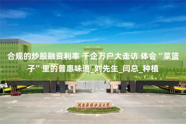 合规的炒股融资利率 千企万户大走访 体会“菜篮子”里的普惠味道_刘先生_闫总_种植