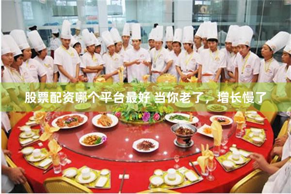 股票配资哪个平台最好 当你老了,增长慢了