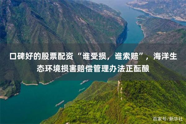 口碑好的股票配资 “谁受损，谁索赔”，海洋生态环境损害赔偿管理办法正酝酿