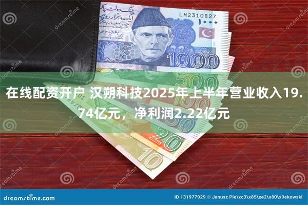 在线配资开户 汉朔科技2025年上半年营业收入19.74亿元，净利润2.22亿元