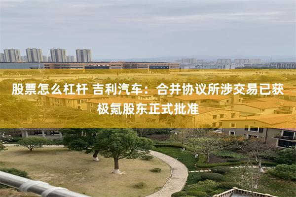 股票怎么杠杆 吉利汽车:合并协议所涉交易已获极氪股东正式批准