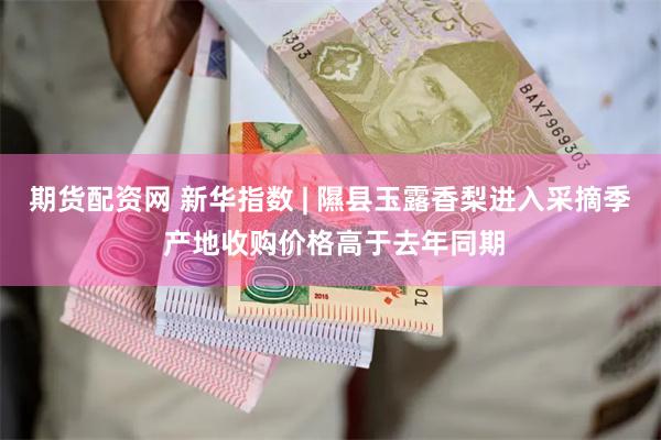 期货配资网 新华指数 | 隰县玉露香梨进入采摘季 产地收购价格高于去年同期