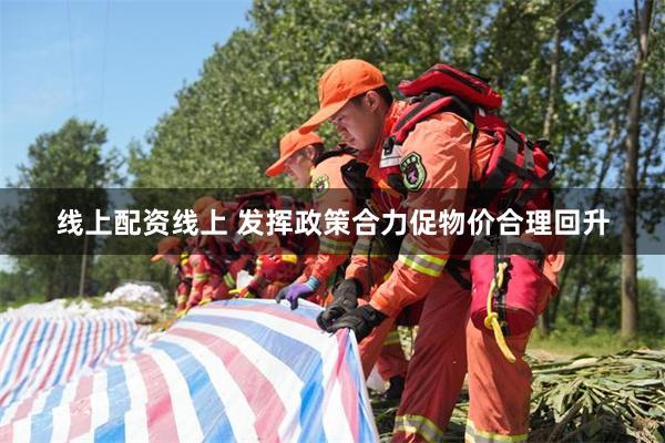 线上配资线上 发挥政策合力促物价合理回升